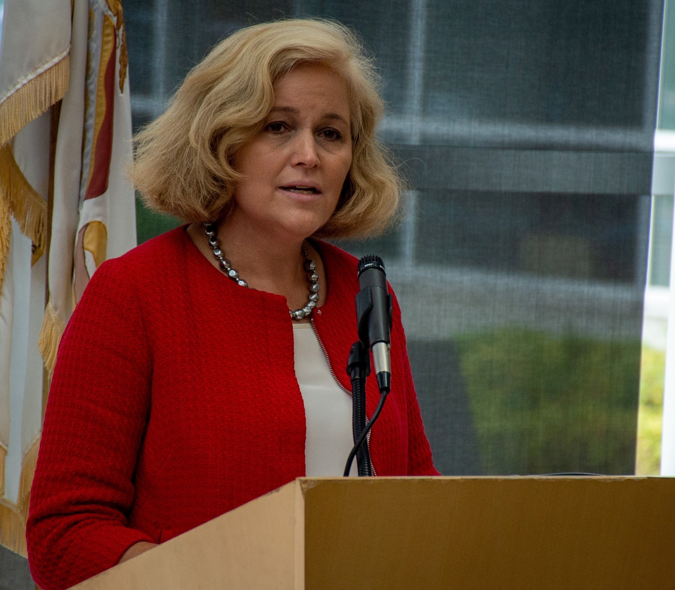 Portrait of Christine Rolfes