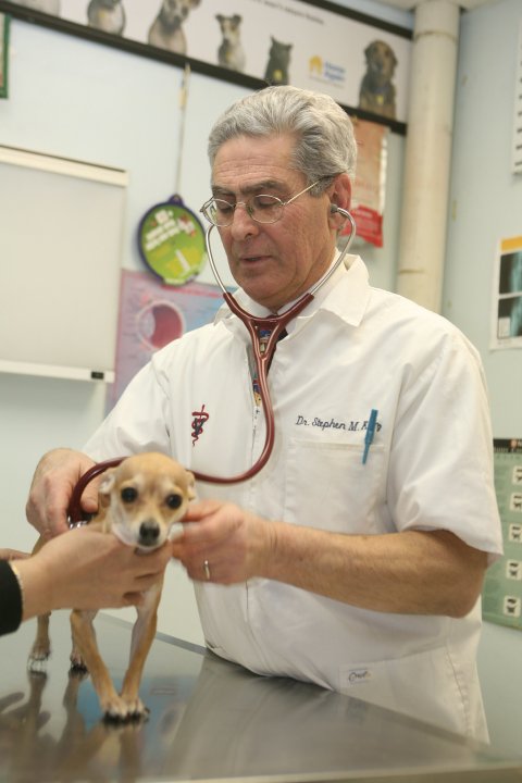 Portrait of Stephen M. Katz