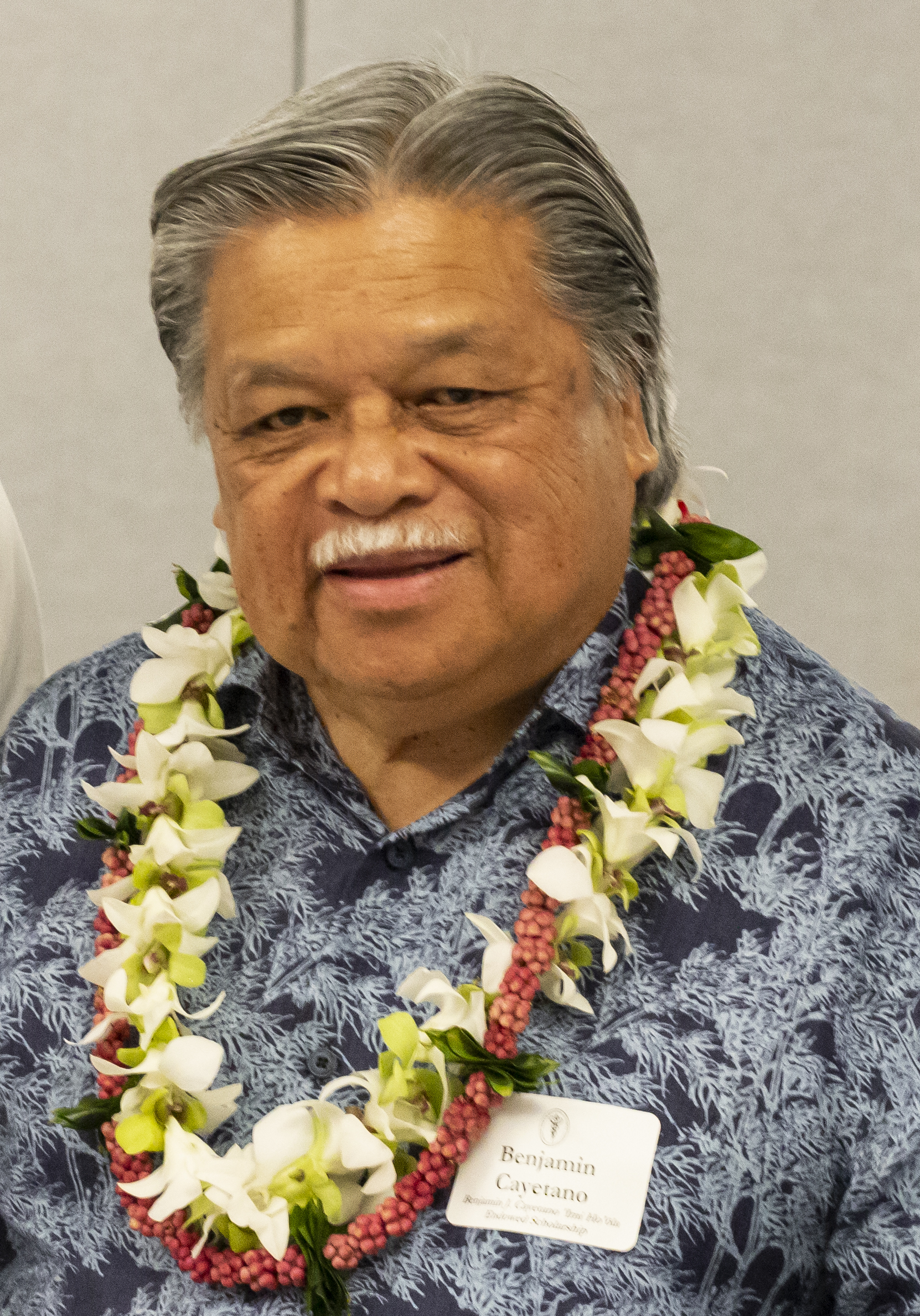 Ben Cayetano portrait