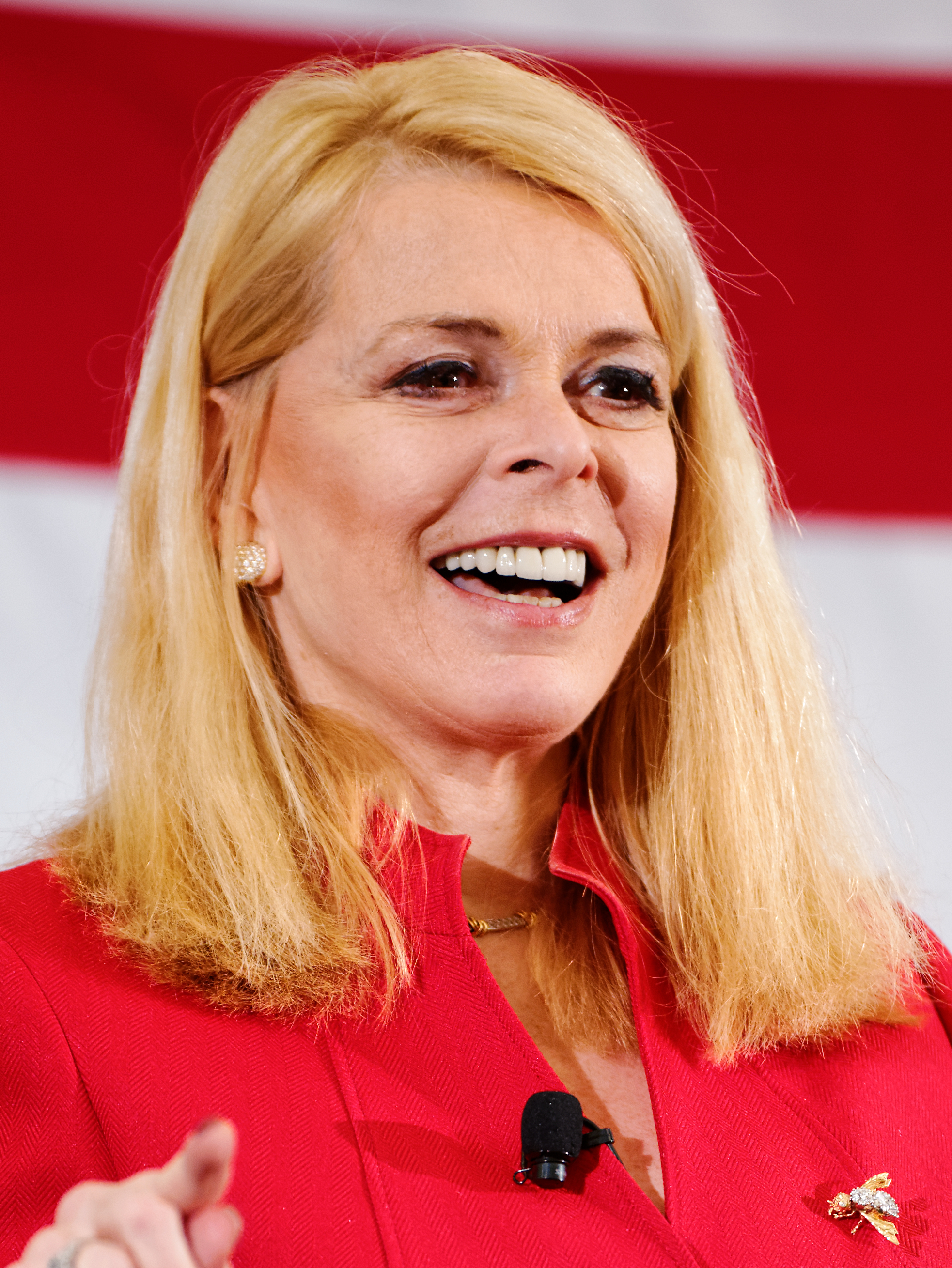 Betsy McCaughey portrait