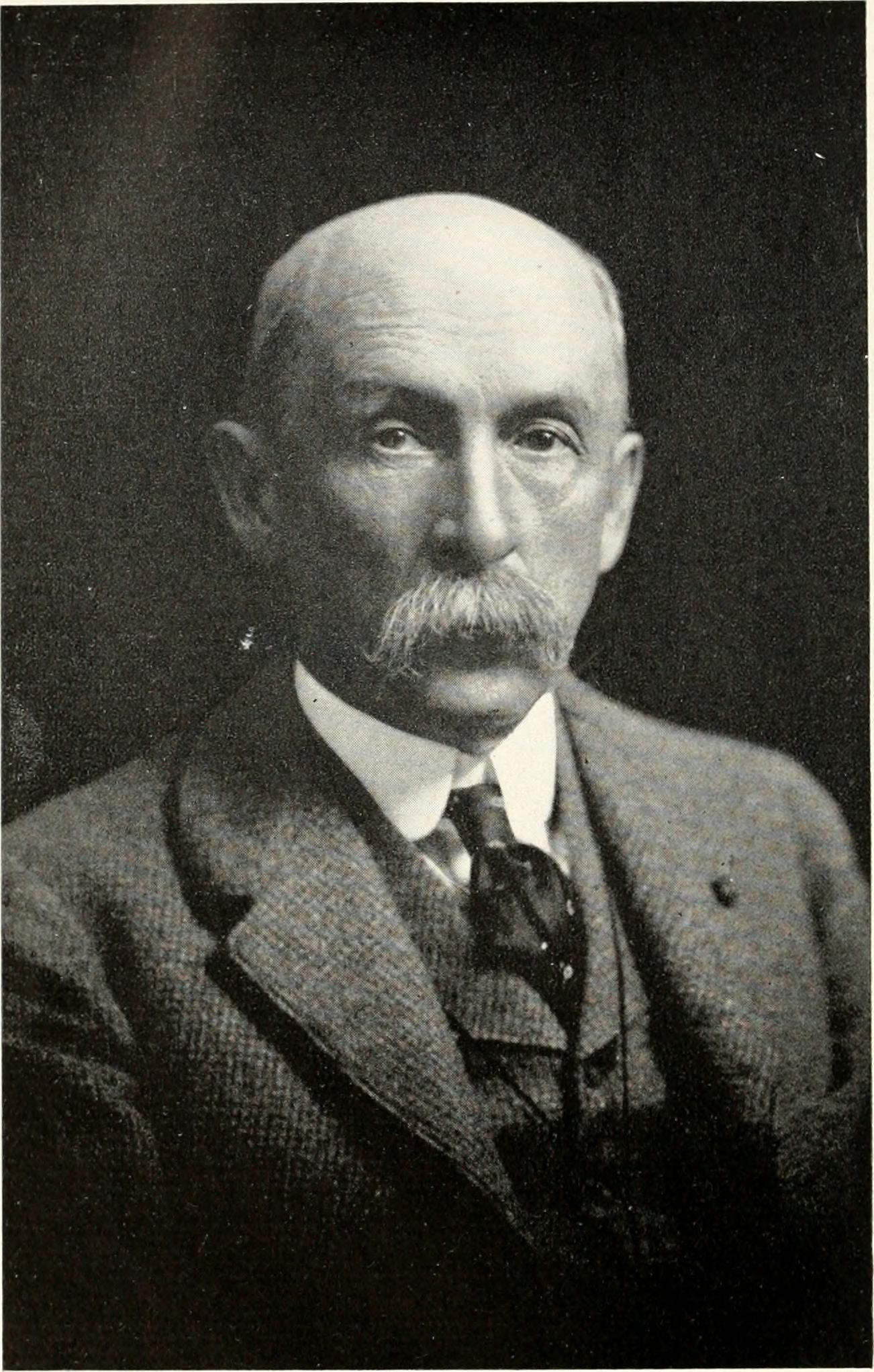 Daniel Henry Chamberlain portrait