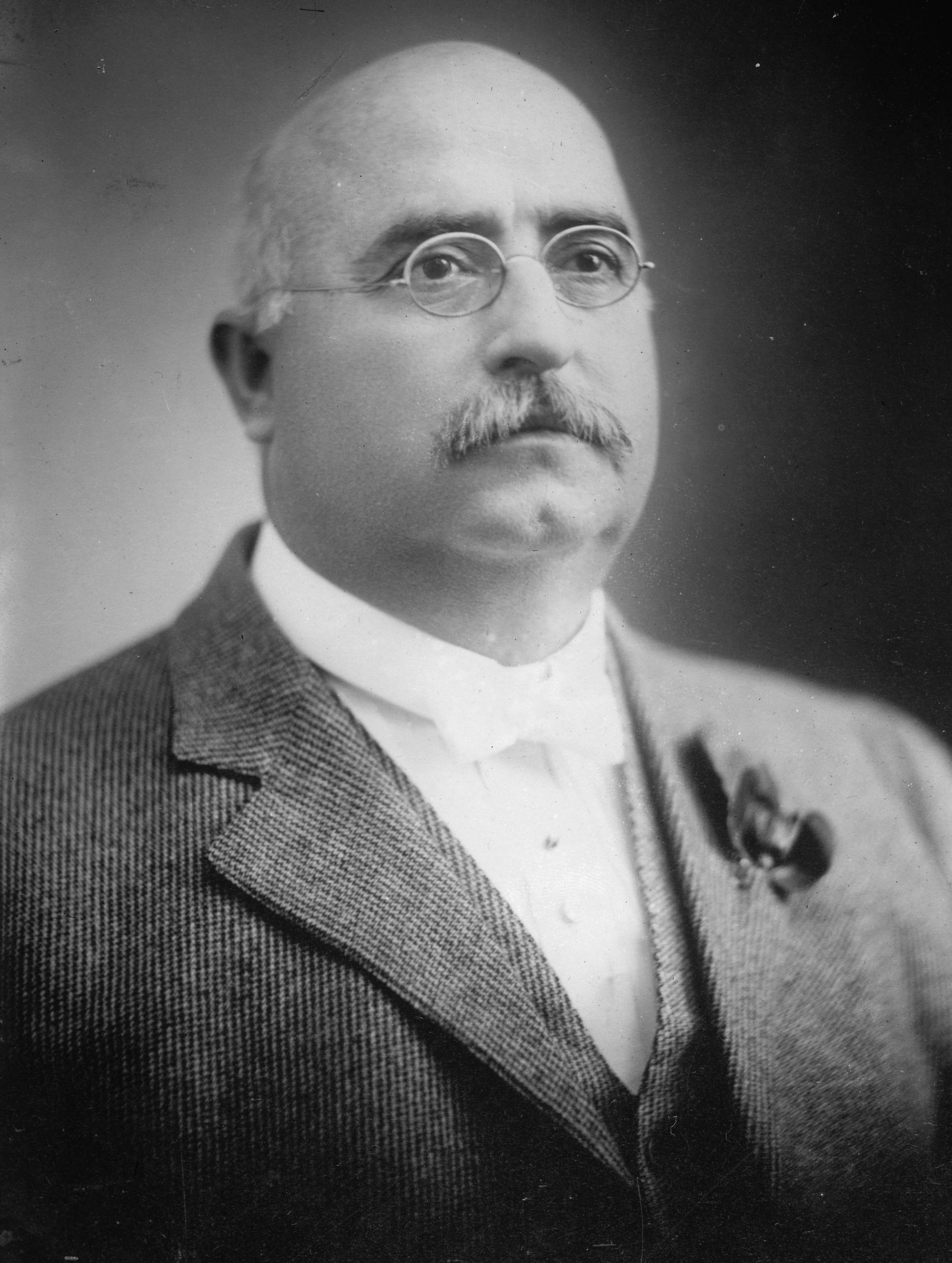 George W. P. Hunt portrait