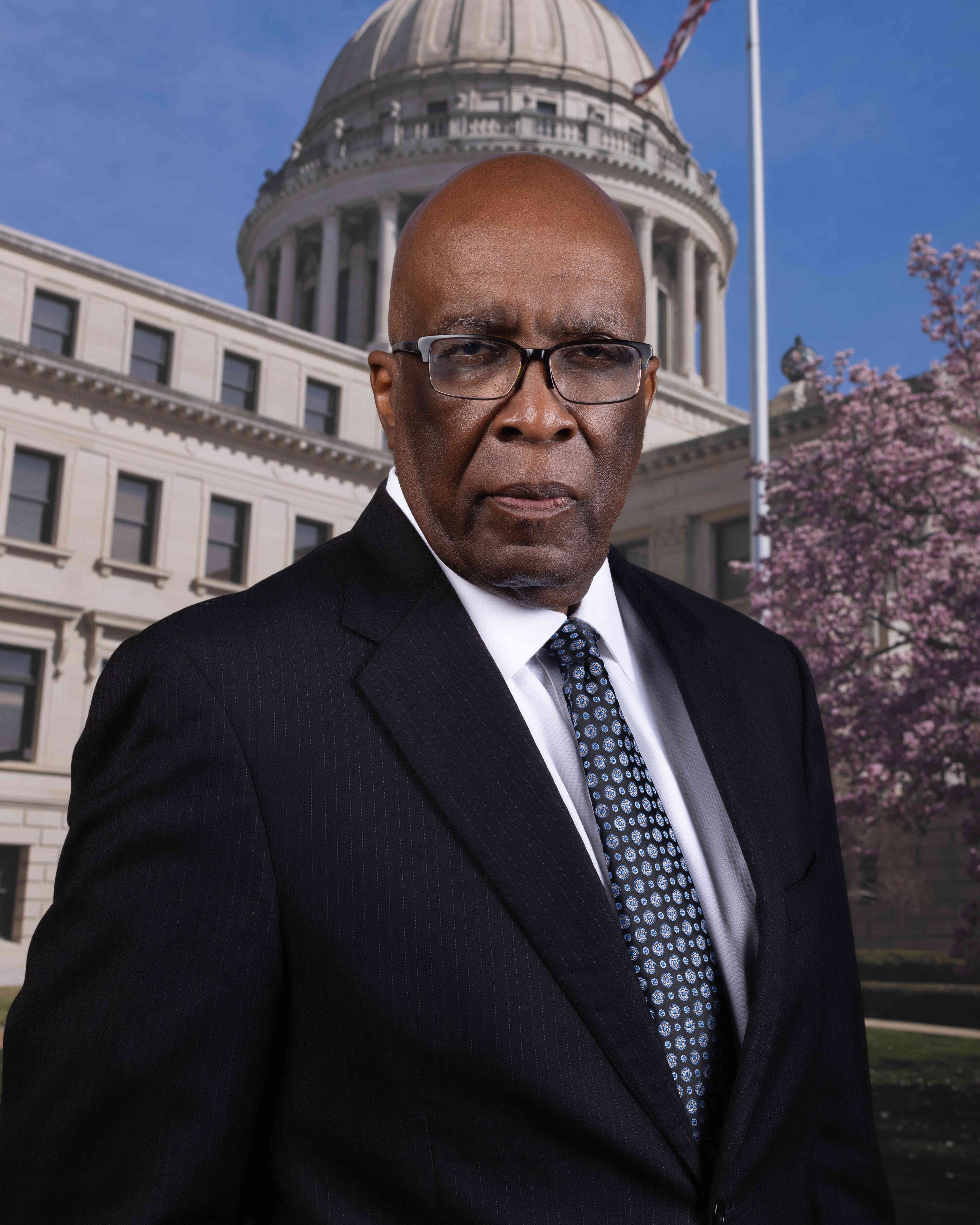 Portrait of Percy Watson