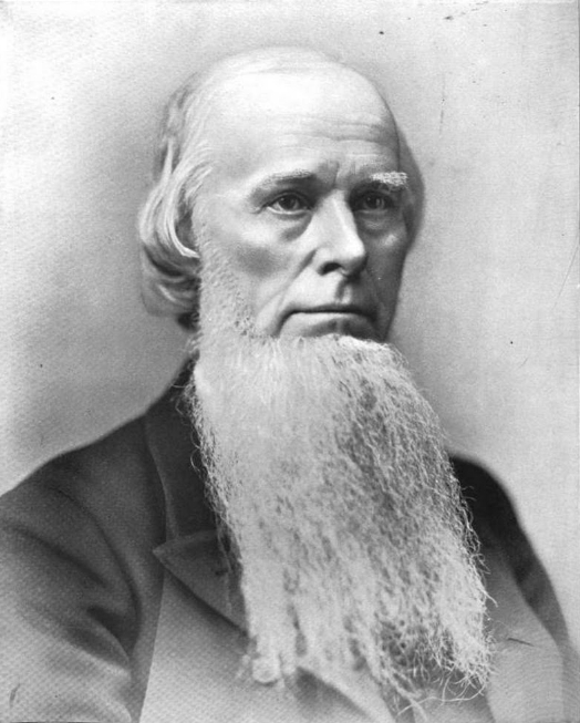 Joseph E. Brown portrait