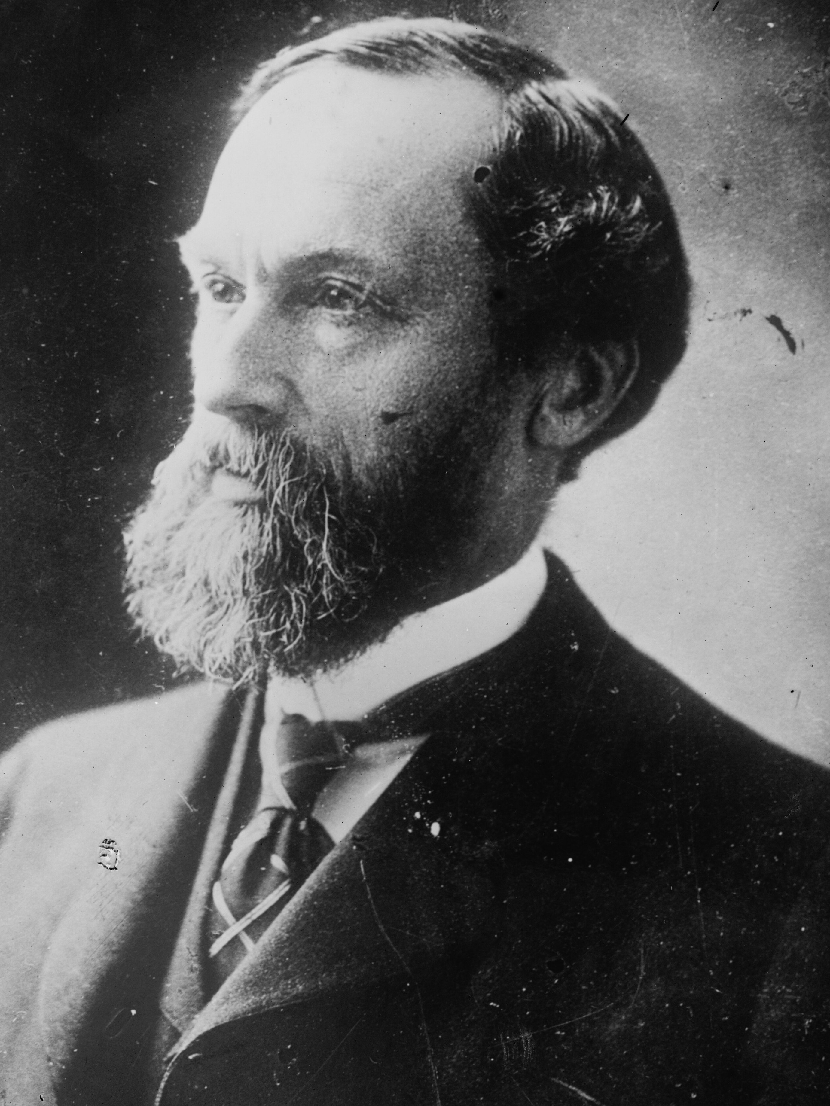Simeon E. Baldwin portrait