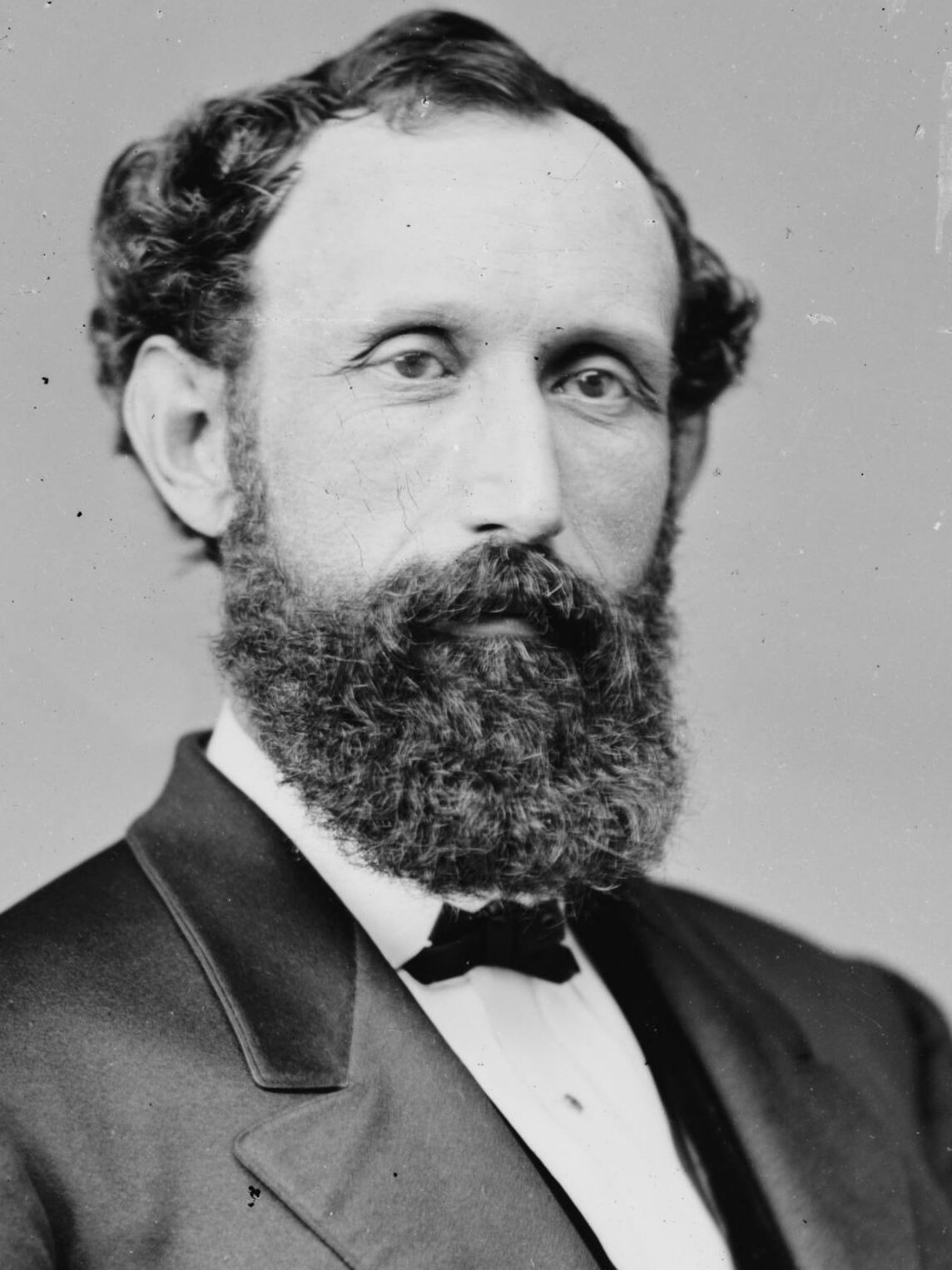 Portrait of William Pitt Kellogg