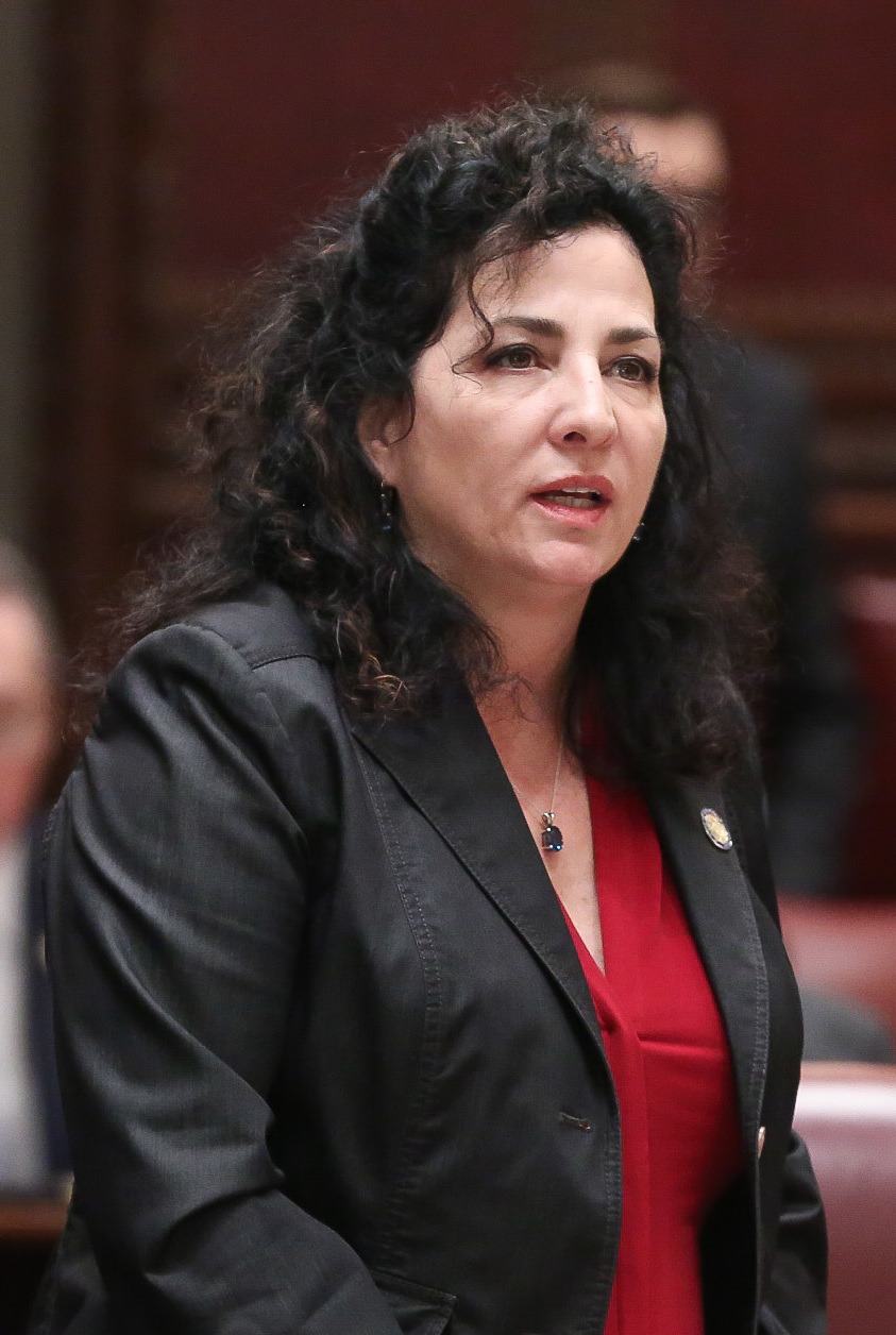 Diane Savino portrait
