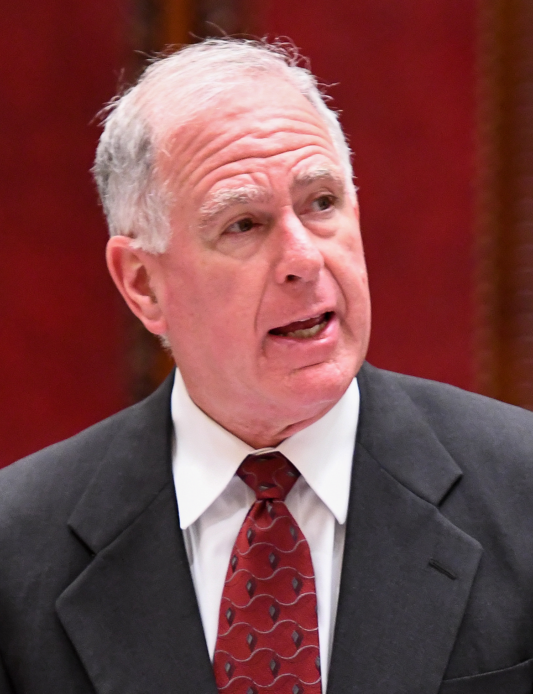 Michael Ranzenhofer portrait