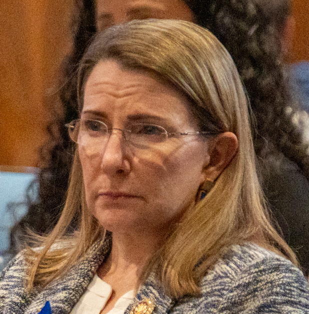 Siobhan Stolle Dunnavant portrait