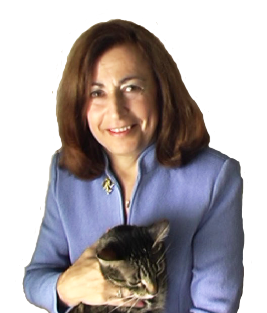 Jan Schneider portrait