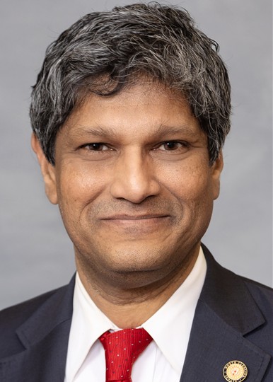 Portrait of Jay Chaudhuri