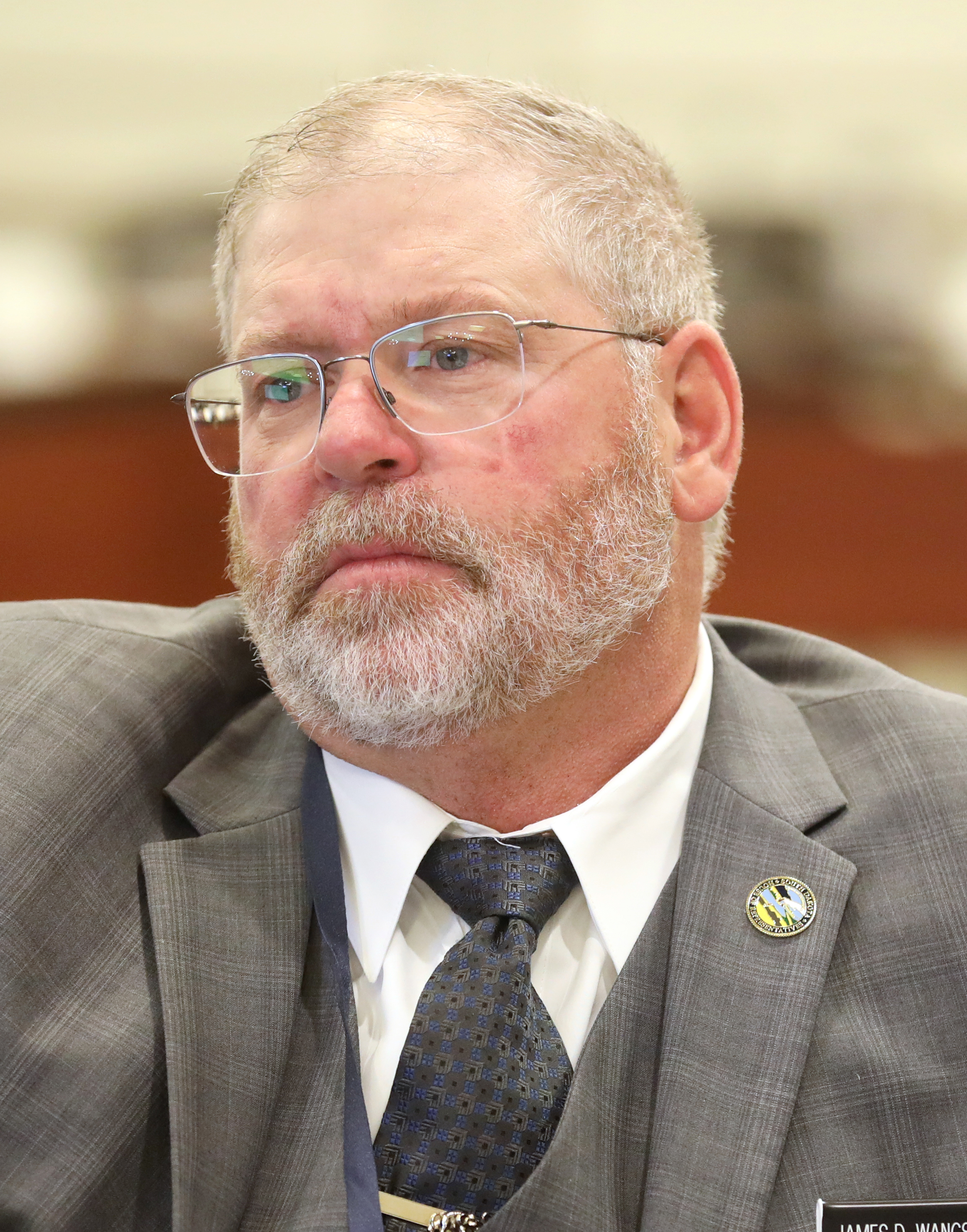 Portrait of James D. Wangsness