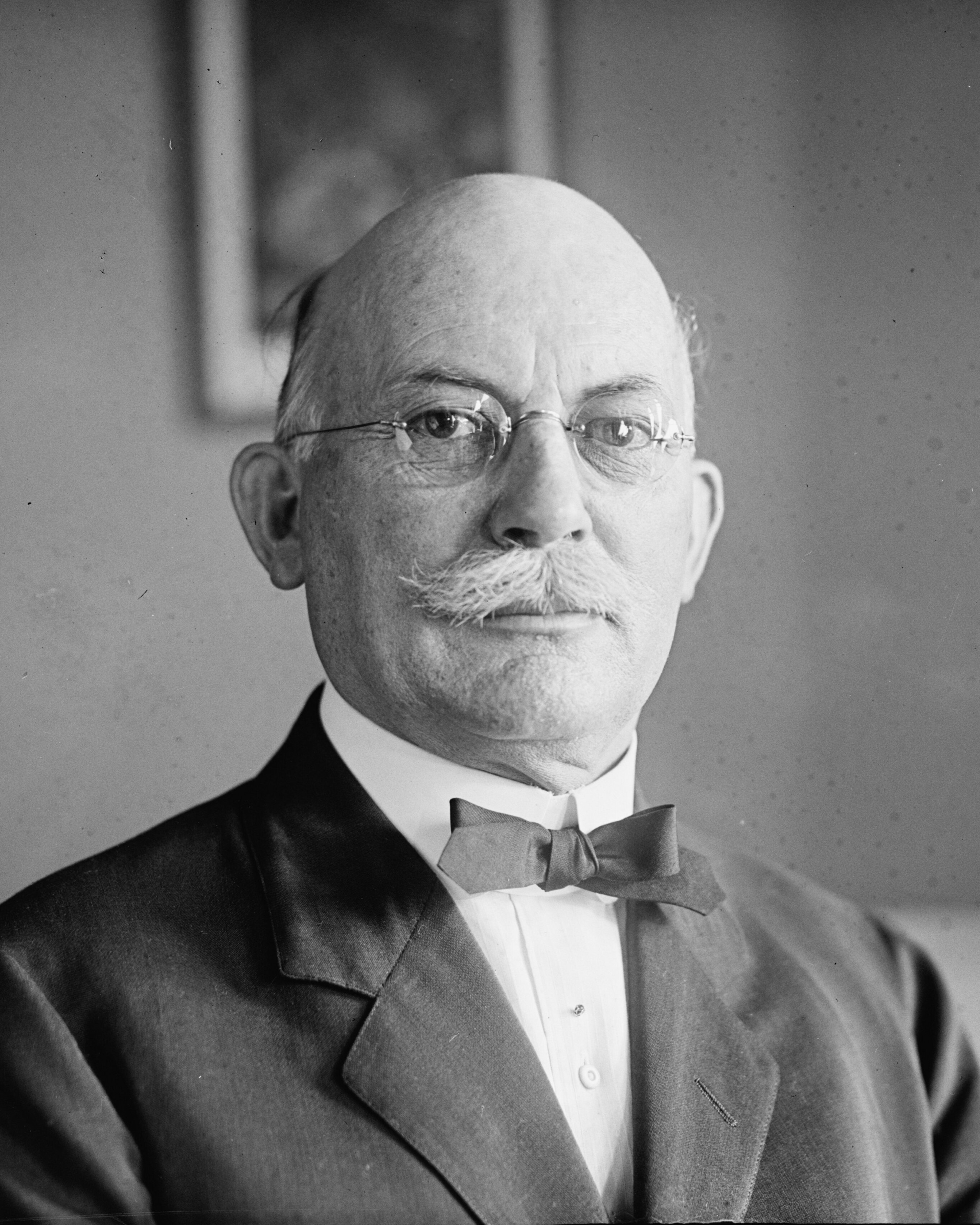 Charles W. Bryan portrait