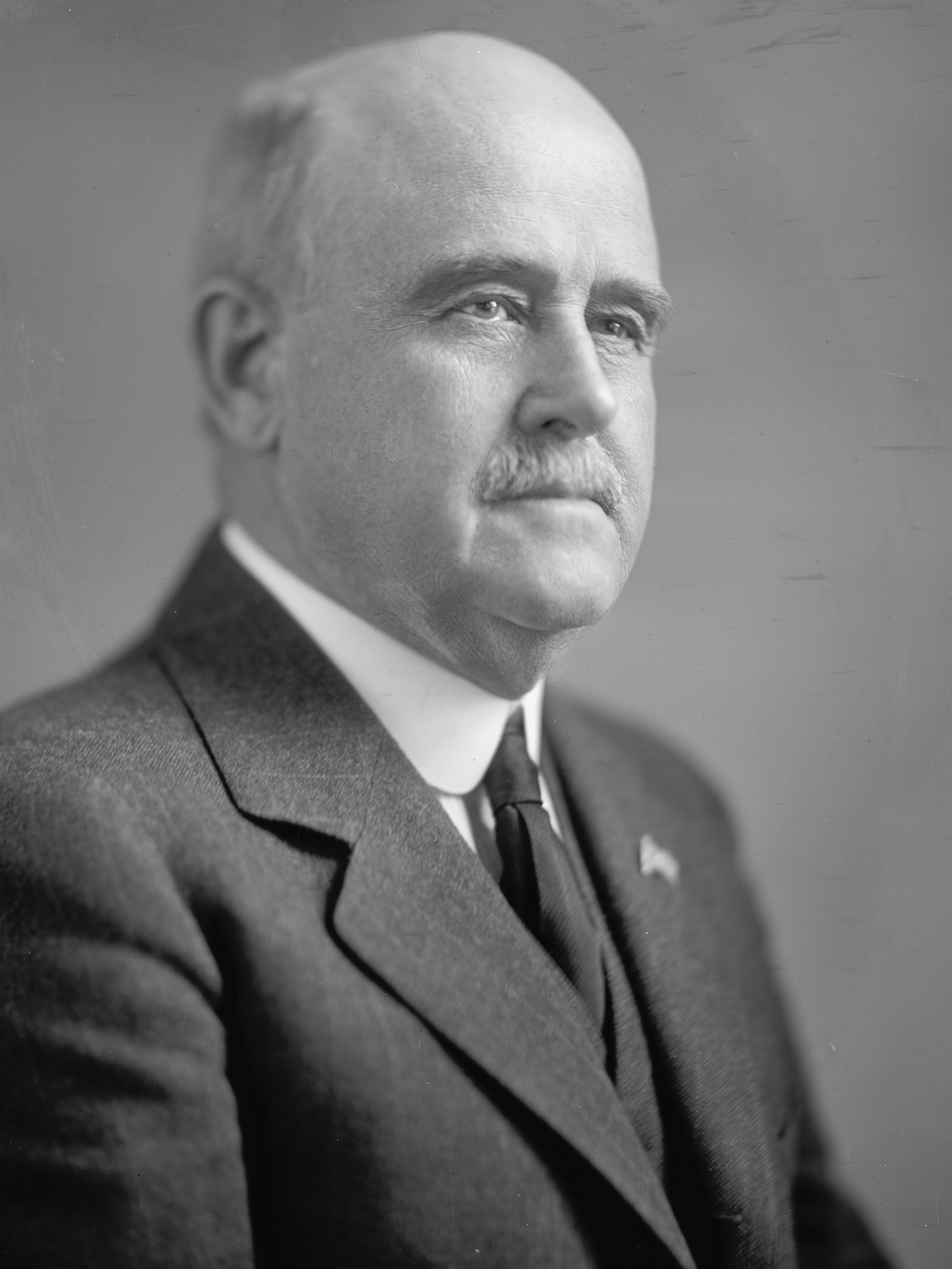 Portrait of William B. McKinley