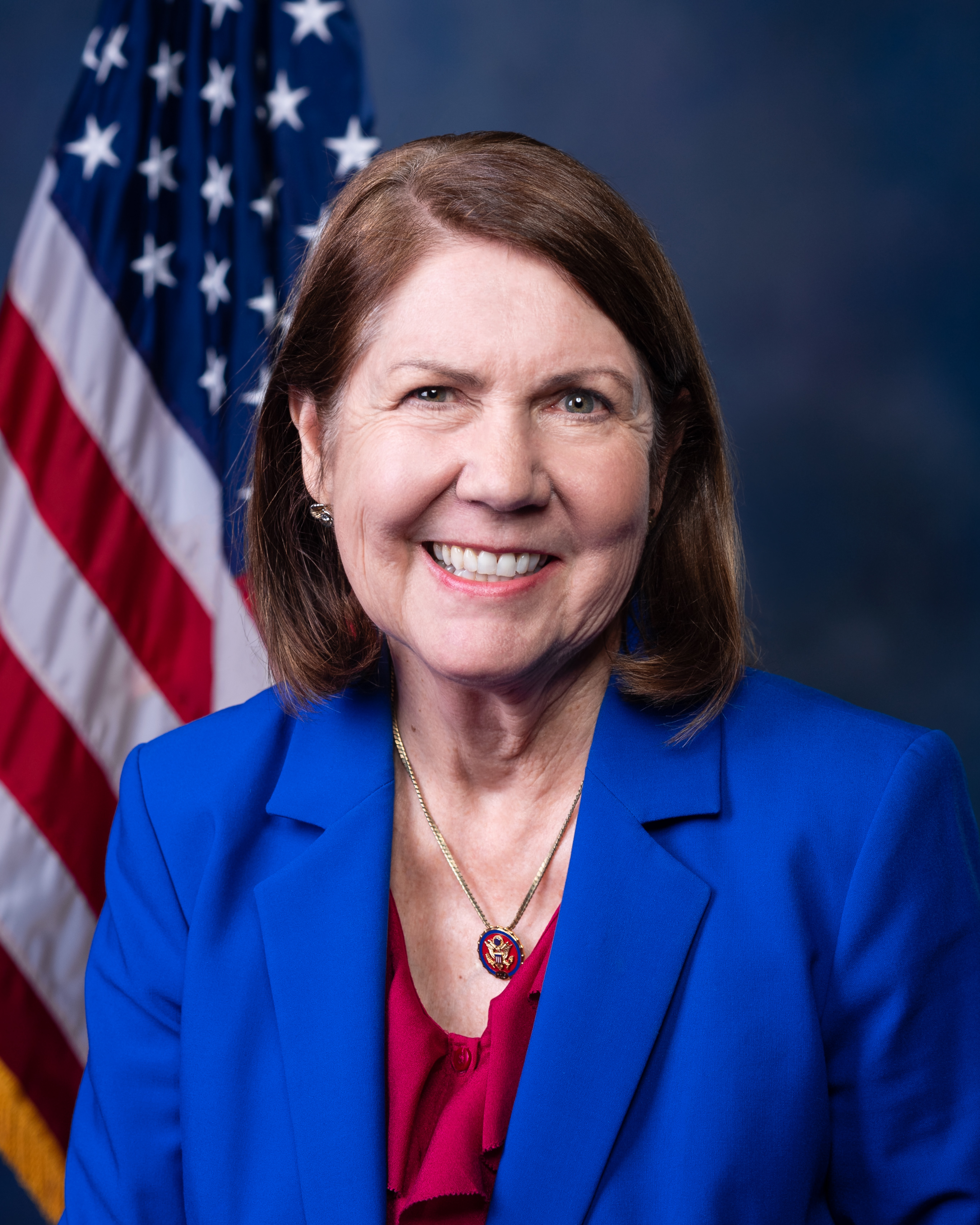 Portrait of Ann Kirkpatrick