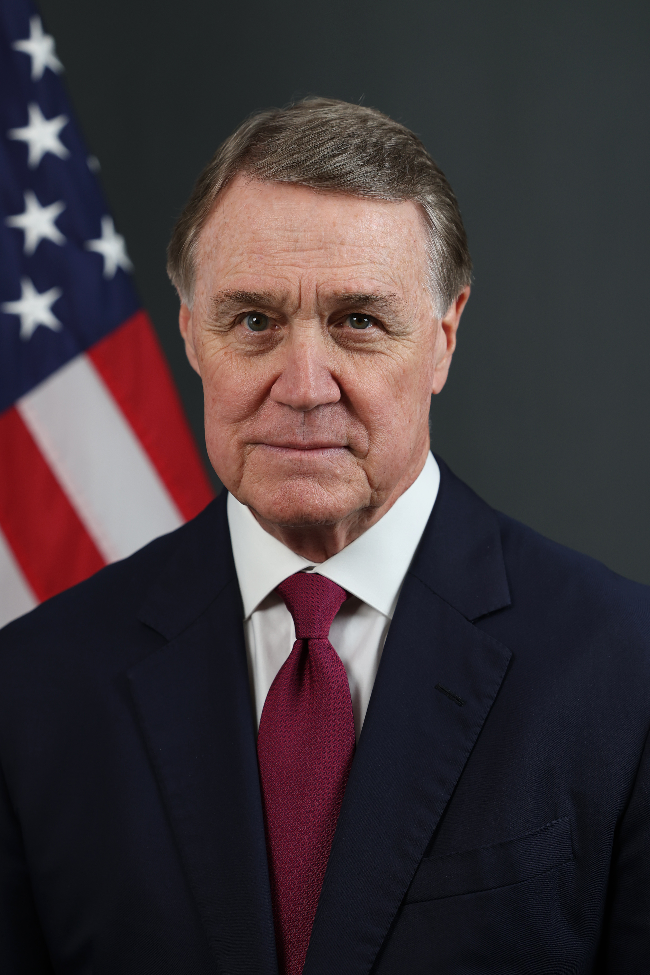 Portrait of David Perdue