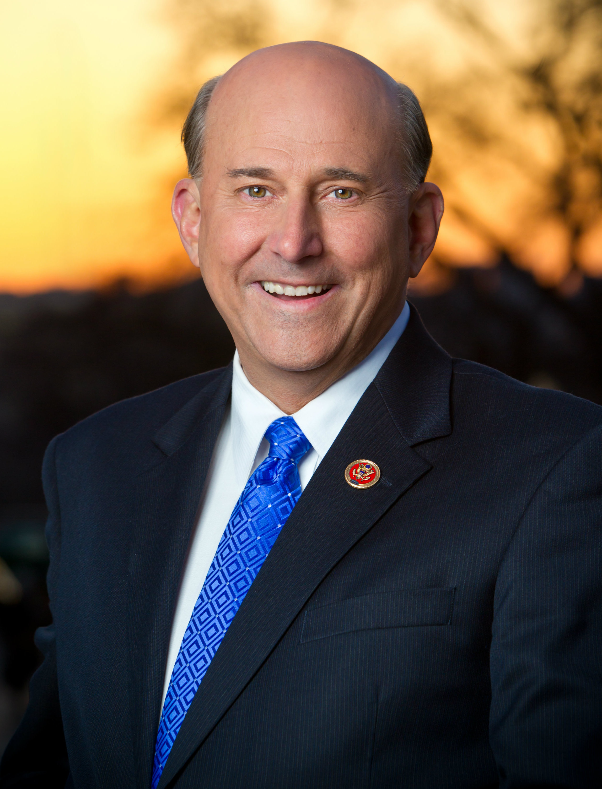 Portrait of Louie Gohmert